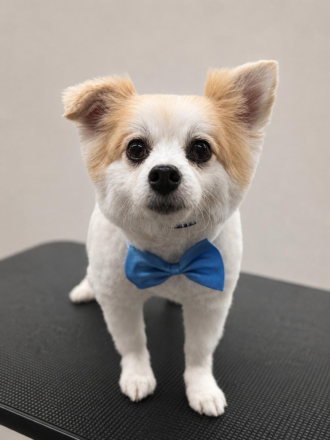 Grooming result